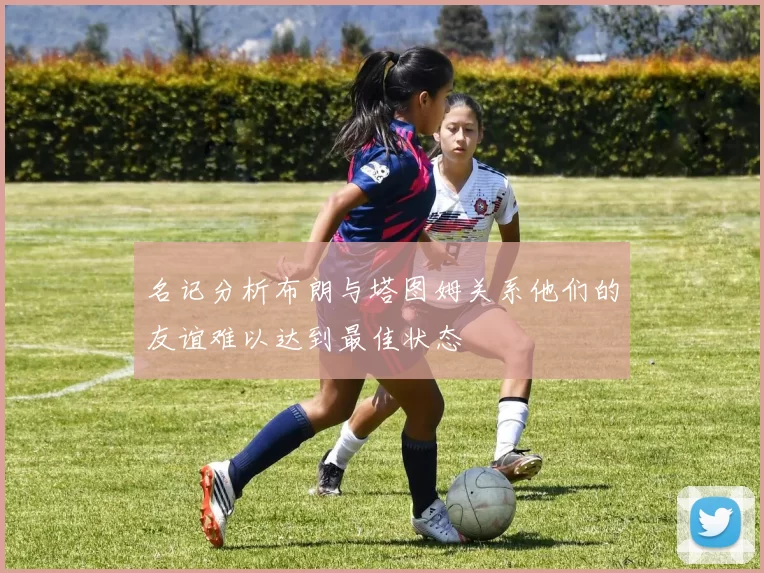 名记分析布朗与塔图姆关系他们的友谊难以达到最佳状态